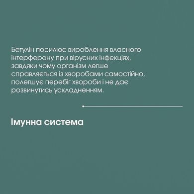 Бетулін (екстракт берести, кори берези) 100 мл New life (протизапальний, антиоксидантний, жовчогінний, антивірусний, гепатопротекторний засіб)
