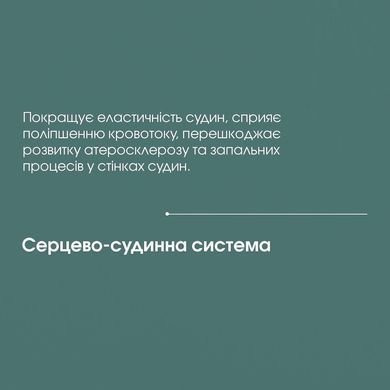 Бетулін (екстракт берести, кори берези) 100 мл New life (протизапальний, антиоксидантний, жовчогінний, антивірусний, гепатопротекторний засіб)