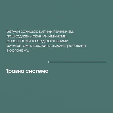 Бетулін (екстракт берести, кори берези) 100 мл New life (протизапальний, антиоксидантний, жовчогінний, антивірусний, гепатопротекторний засіб)