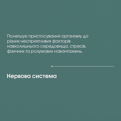 Бетулін (екстракт берести, кори берези) 100 мл New life (протизапальний, антиоксидантний, жовчогінний, антивірусний, гепатопротекторний засіб)