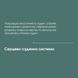 Бетулін (екстракт берести, кори берези) 100 мл New life (протизапальний, антиоксидантний, жовчогінний, антивірусний, гепатопротекторний засіб)