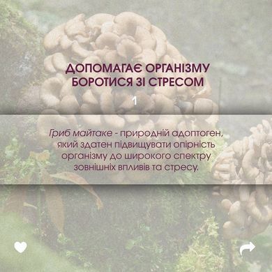 Майтаке / Maitake капсулы 60 шт по 500 mg (онкопротектор, иммуномодулятор, снижение веса, усталость)