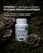 Трутовик разноцветный / Trametes Versicolor 60 капсул по 500 мг (улучшает кровообращение, укрепляя сердечно-сосудистую систему и способствуя здоровью сердца)