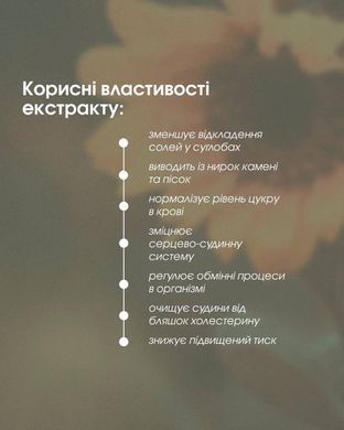 Рослинний екстракт соняшника New Life 100 ml (виведення піску та каменів з нирок, зменшення відкладення солей у суглобах та кістках)