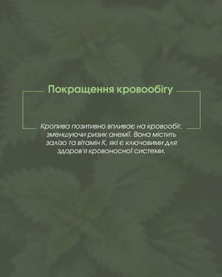 Кропиви екстракт 30 мл New life (при недокрів&rsquo;ї, занепаді сил, для поліпшення стану шкірного покриву, судин, загоєння ран)