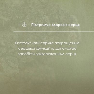 Чаги экстракт 30 мл New life (укрепления иммунитета, улучшения обмена веществ, онкология)