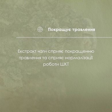 Чаги экстракт 30 мл New life (укрепления иммунитета, улучшения обмена веществ, онкология)
