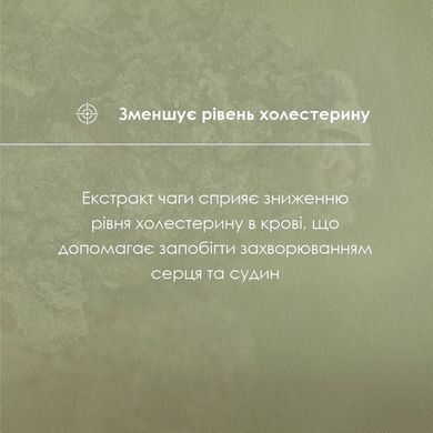 Чаги экстракт 30 мл New life (укрепления иммунитета, улучшения обмена веществ, онкология)