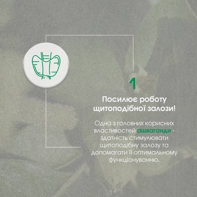 Ашваганда капсулы 60 шт по 500 mg / Ashwagandha- для щитовидной, мозга, иммунитета