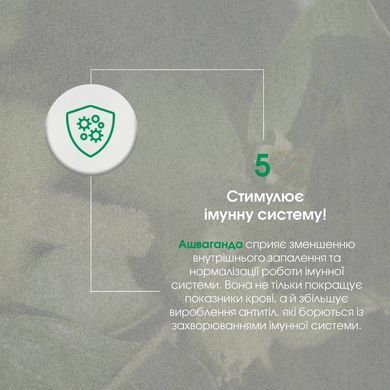 Ашваганда капсулы 60 шт по 500 mg / Ashwagandha- для щитовидной, мозга, иммунитета