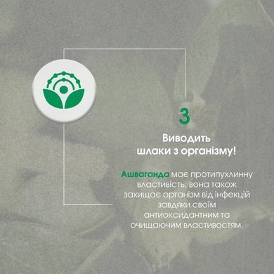 Ашваганда капсулы 60 шт по 500 mg / Ashwagandha- для щитовидной, мозга, иммунитета