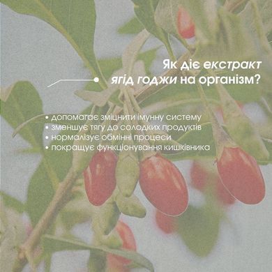 Метаболізм Комплекс - сприяє прискоренню метаболізму таблетки 60 шт по 500 mg / Metabolism Complex