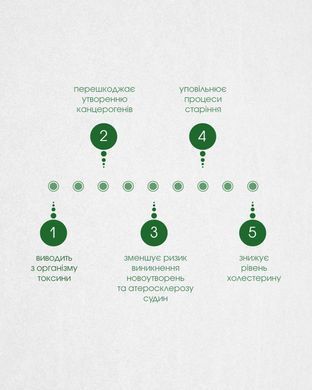 Антиоксидант Про / Antioxidant Pro капсули 60 шт по 500 mg (від токсинів, канцерогенів, атеросклерозу, новоутворень)
