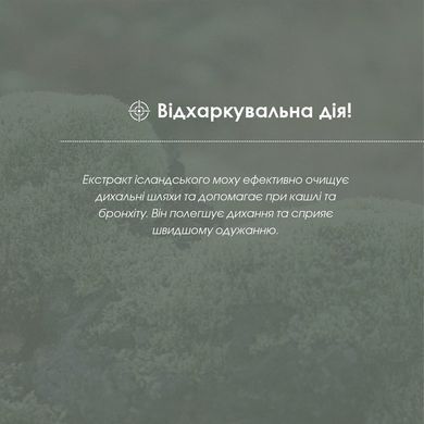 Ісландського моху екстракт  30 мл New life (відхаркувальна, пом&rsquo;якшувальна, антибактеріальна дія)