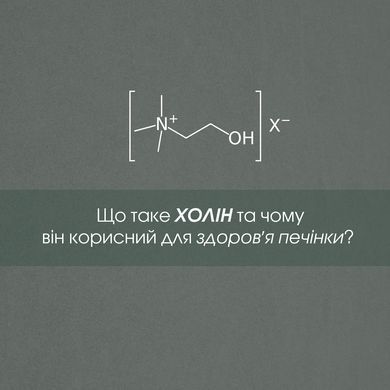 Гепатофлор таблетки 60 шт по 500 mg / Hepatoflor (для поліпшення роботи печінки)