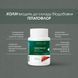 Гепатофлор таблетки 60 шт по 500 mg / Hepatoflor (для поліпшення роботи печінки)
